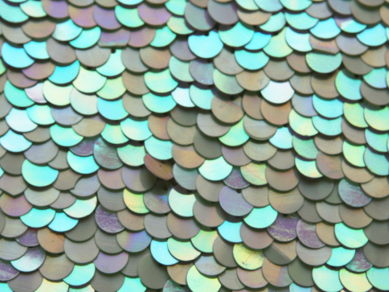 Paillettes on Silk Chiffon3