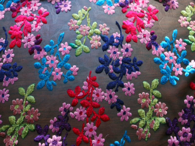 Silk Rayon Burnout Velvet0