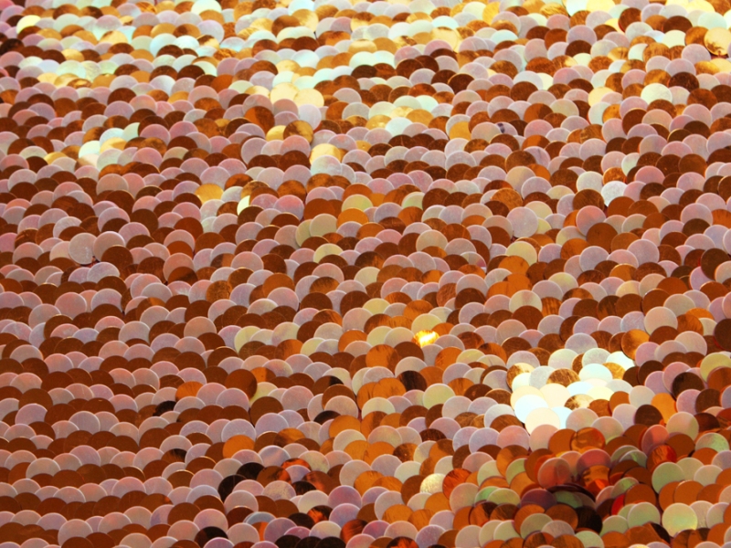 Pailettes on Silk Chiffon1