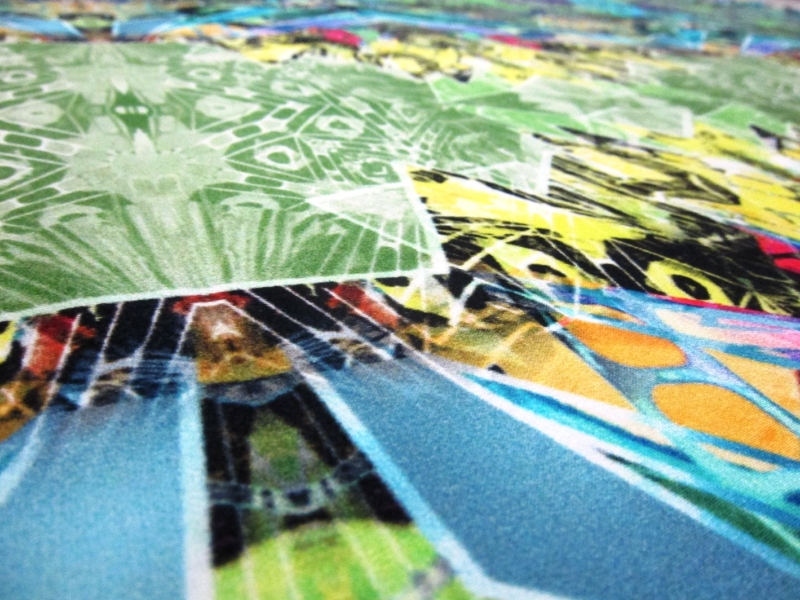 Printed Silk Charmeuse2
