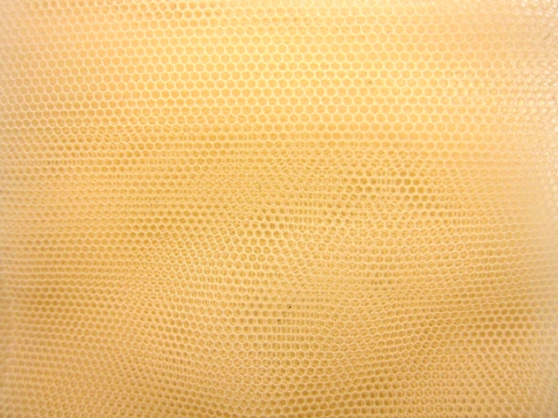 Italian Nylon Tulle in Canapa0