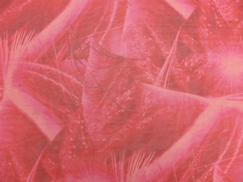 Printed Iridescent Silk Chiffon1