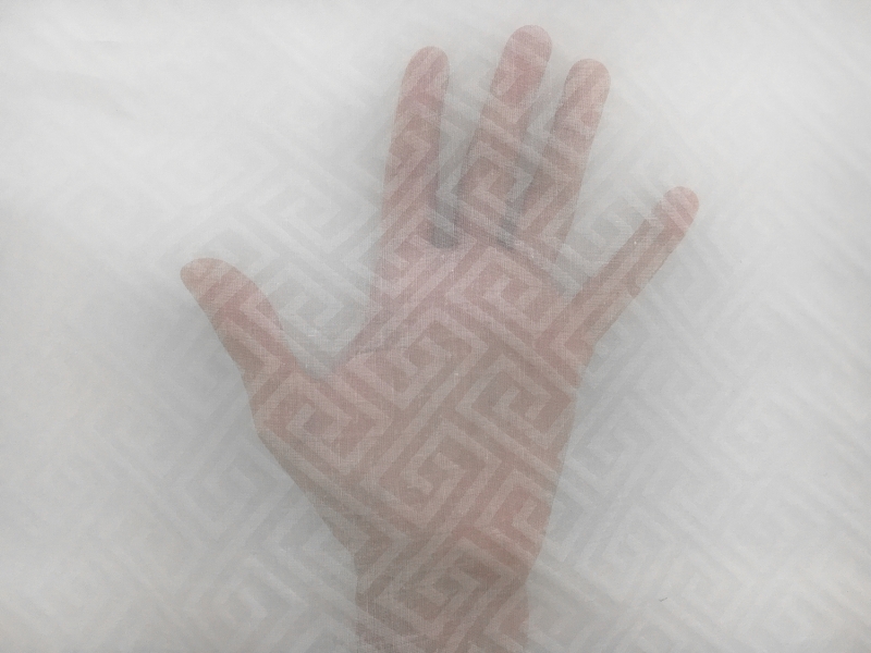 Swiss Cotton Organdy Novelty with Art Deco Pattern3