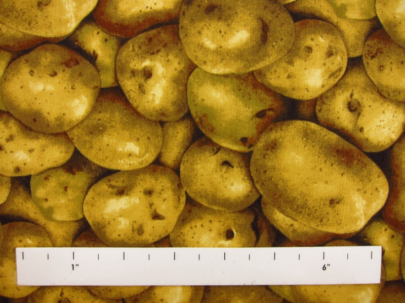 Cotton Broadcloth Print1