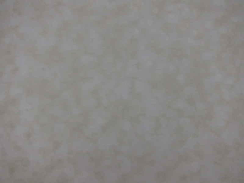 Cotton Broadcloth Print0