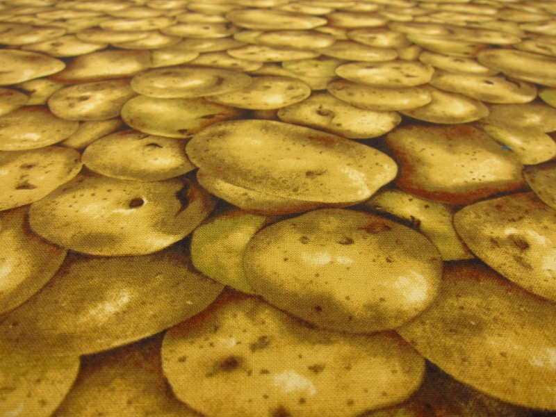 Cotton Broadcloth Print2