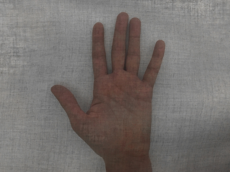 Swiss Cotton Organdy in Black1