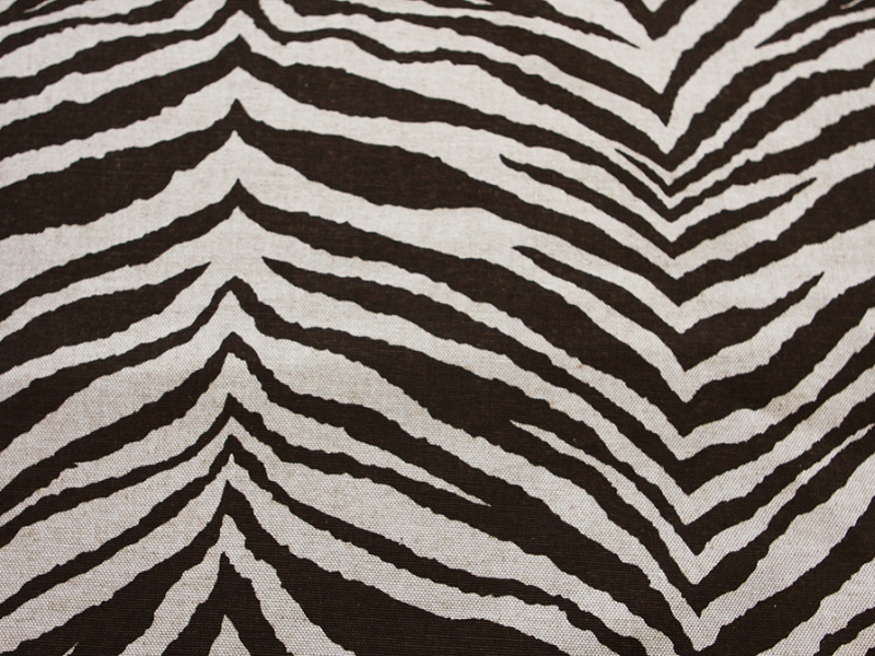 Printed Cotton Rayon Canvas0