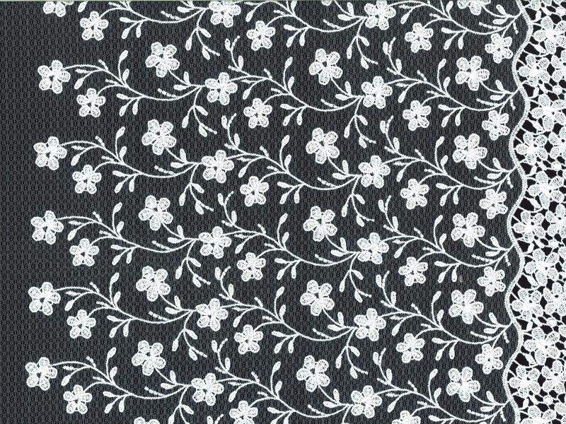 EMBROIDERED SOUFFLÉ NET1