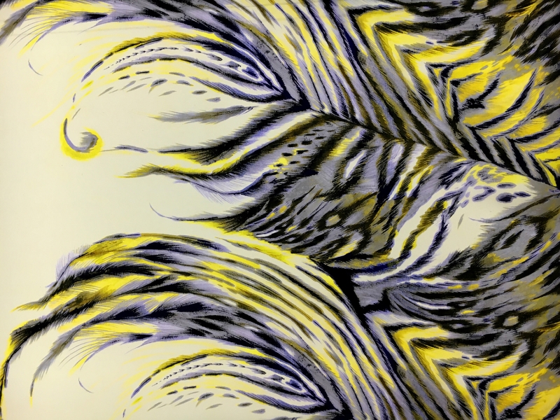 Printed Silk Gazar with Extra Large Feathers0