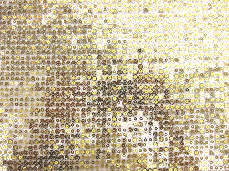 Layered Sequins on Novelty Mesh0