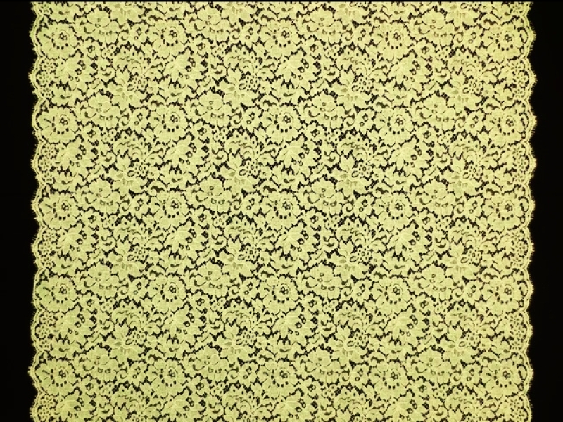 Corded Chantilly Lace3