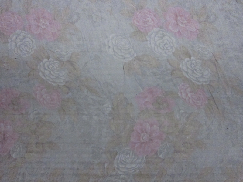 Iridescent Silk Chiffon Print1