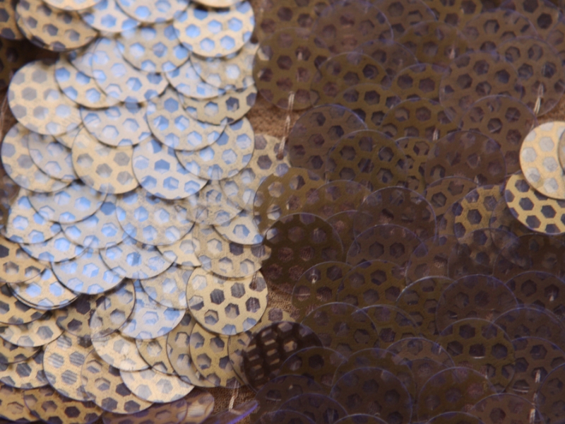 Novelty Paillettes on Silk Chiffon3