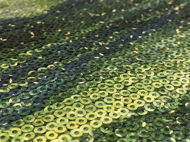 Novelty Printed Sequins2