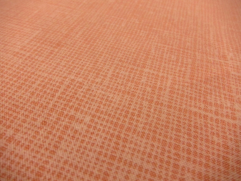 Cotton Broadcloth Print 0