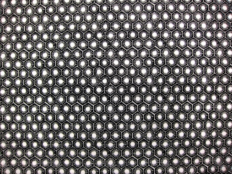 Cotton Broadcloth Print0