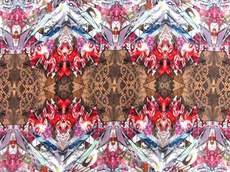 Printed Silk Charmeuse0