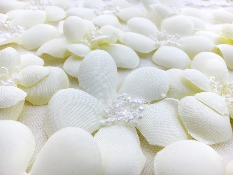 Eggshell Flowers Appliqued on Tulle with Lace Trim2