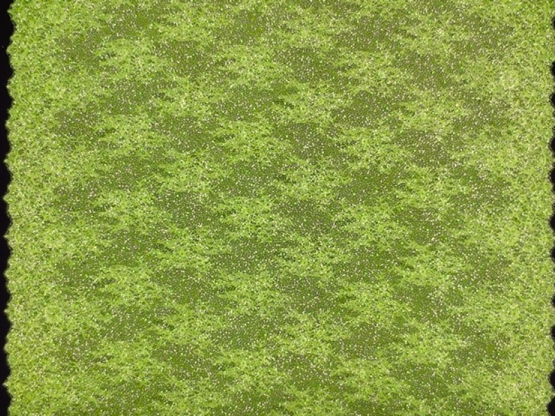 Beaded Chantilly Lace3