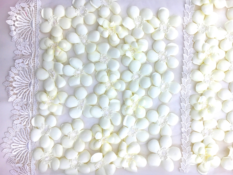 Eggshell Flowers Appliqued on Tulle with Lace Trim0