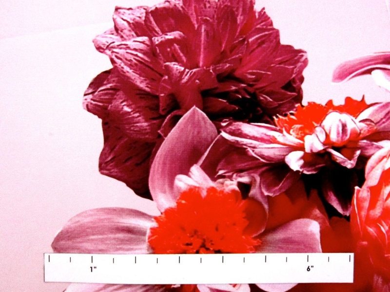 Printed Silk Mikado1