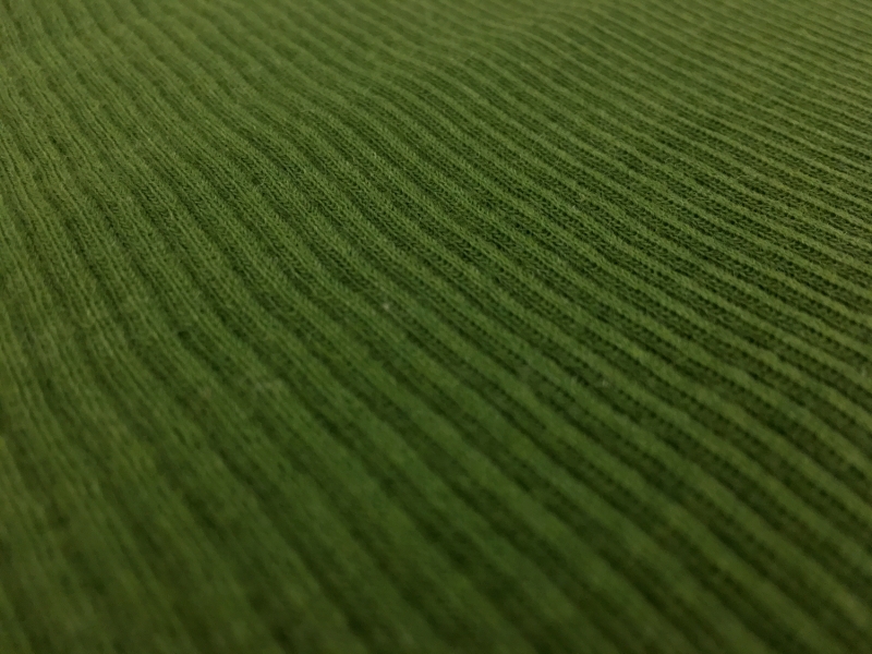 Virgin Wool Rib Knit in Moss2