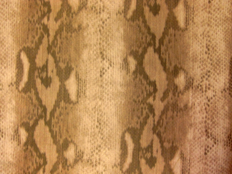 Warp Printed Taffeta0