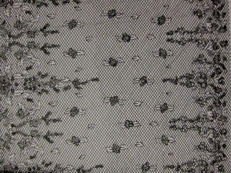 Novelty Beaded Tulle with Bugle Beads0