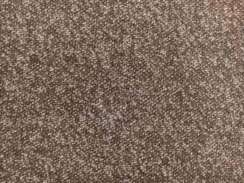 Large Loop Cotton French Terry Knit in Coffee1