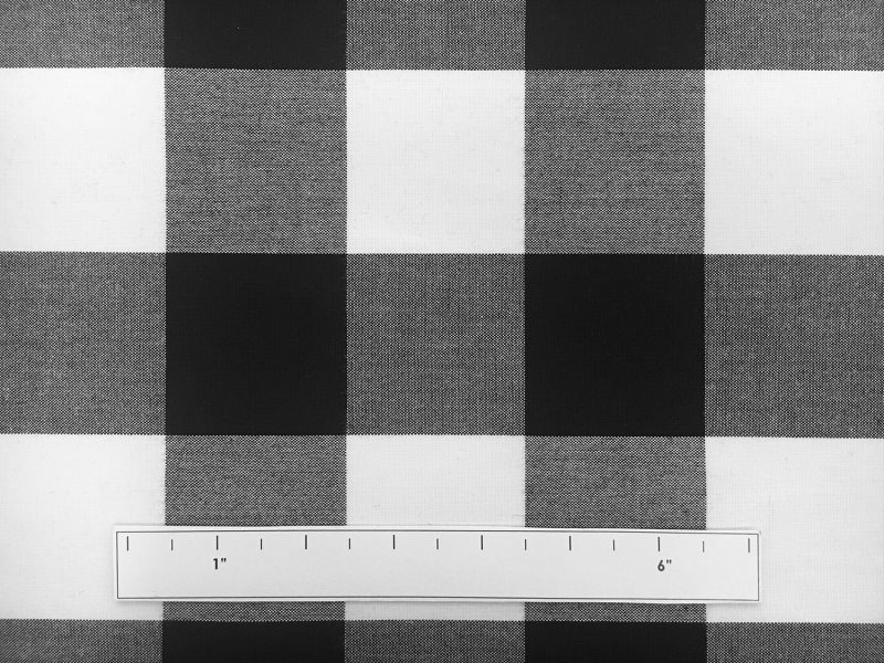 Carolina Cotton Gingham in Black2