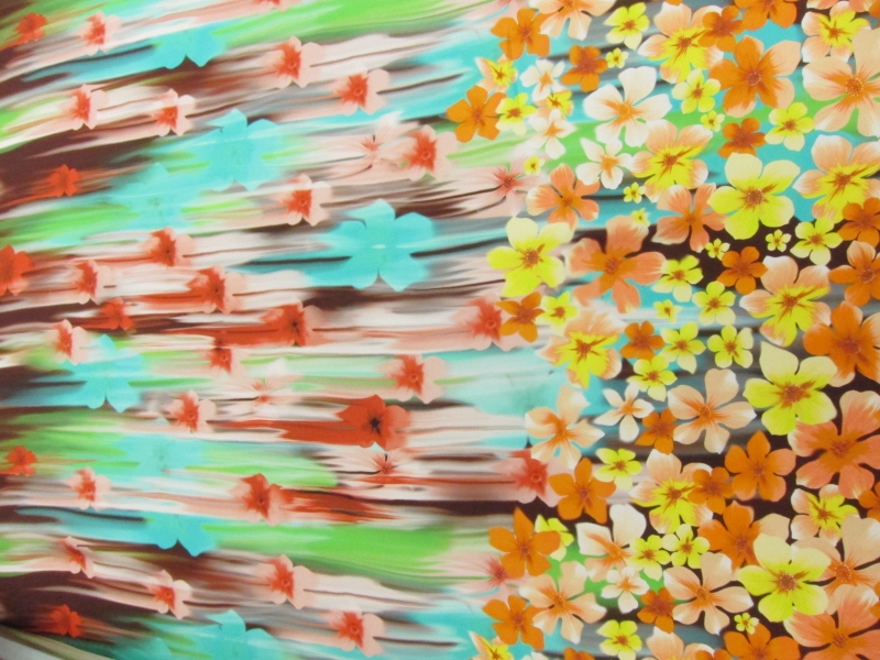 Printed Silk Charmeuse0