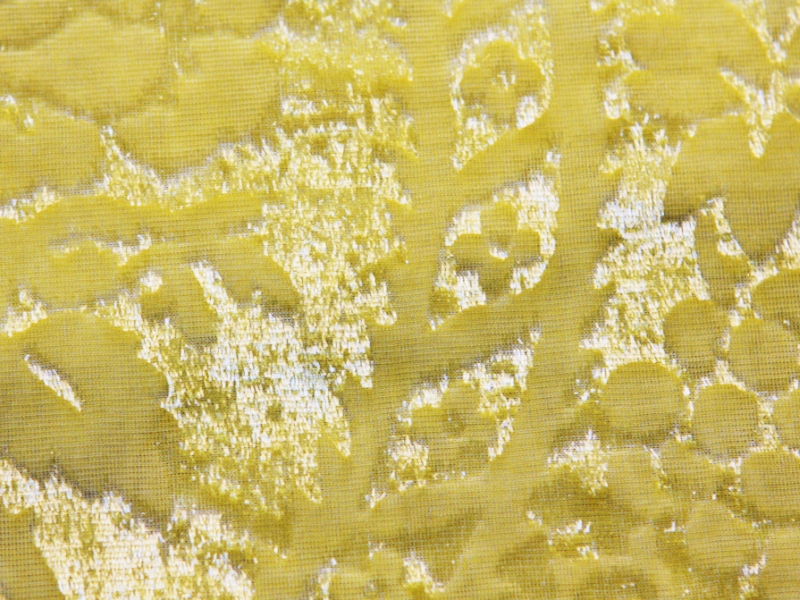 Embossed Silk Lurex Panné Velvet3