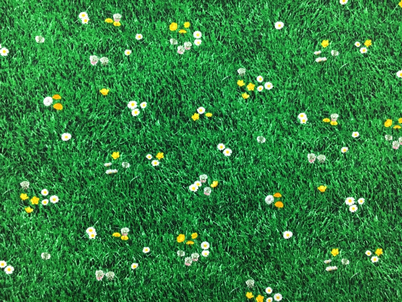 Cotton Broadcloth Print With Grass Landscape 0