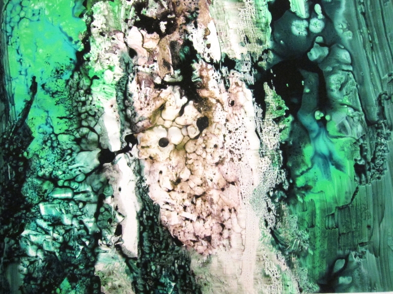 Printed Silk Charmeuse0