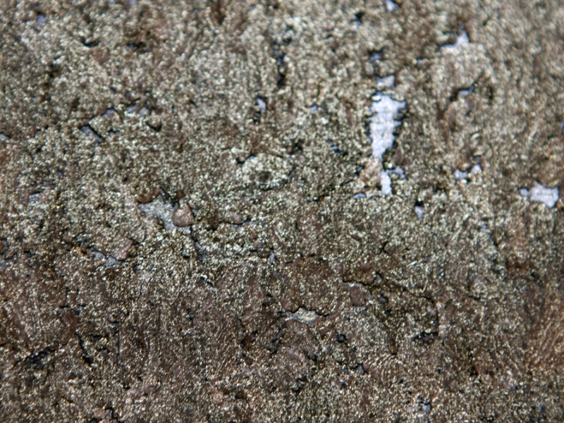 Brushed Platinum Cork2