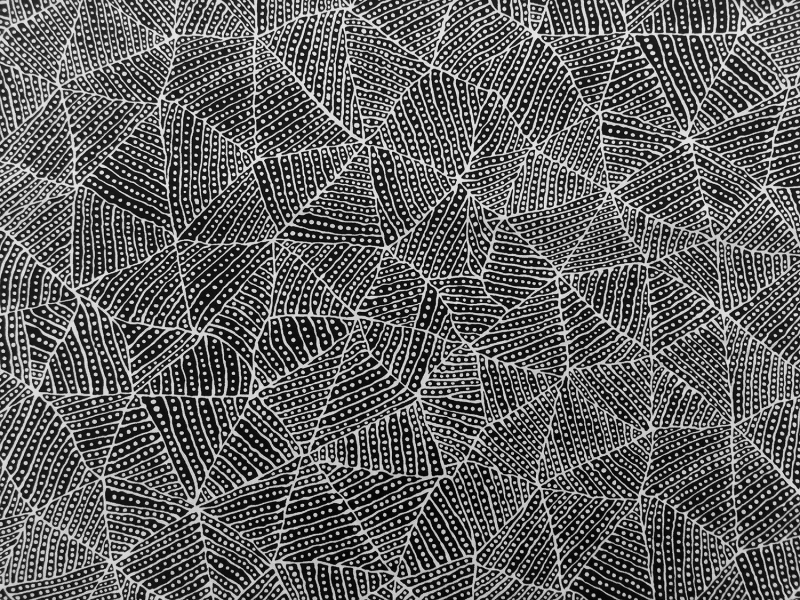 Australian Cotton Print With Aboriginal Motif 0