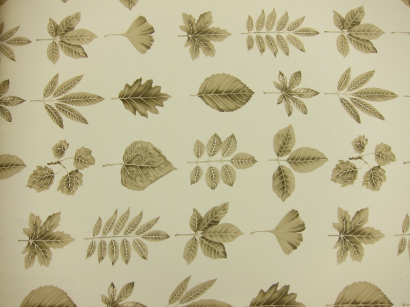 Printed Silk Georgette0