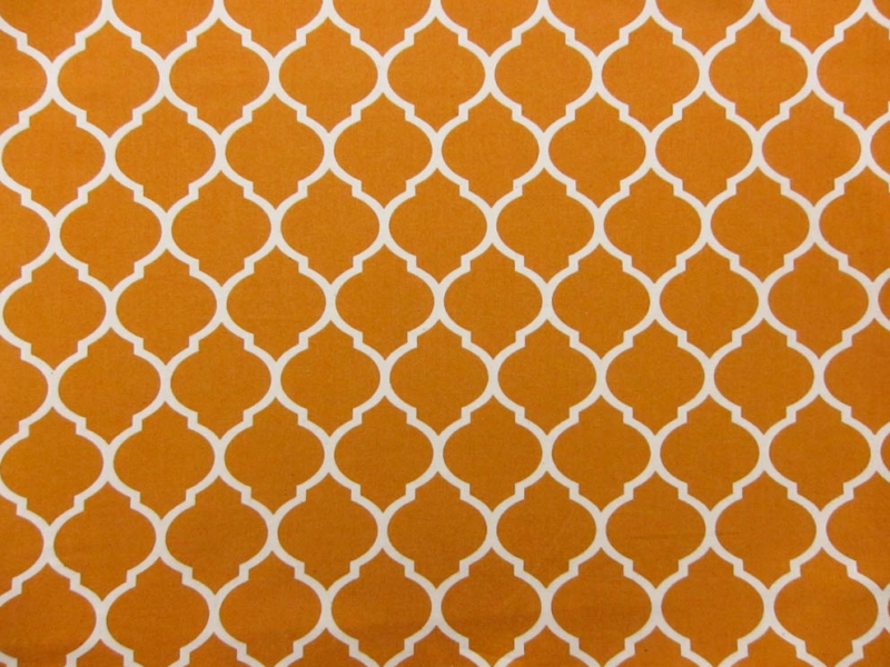 Cotton Broadcloth Print0