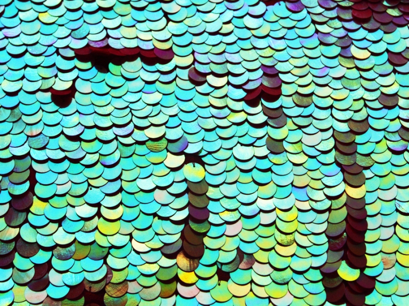 Novelty Pailettes on Silk Chiffon1