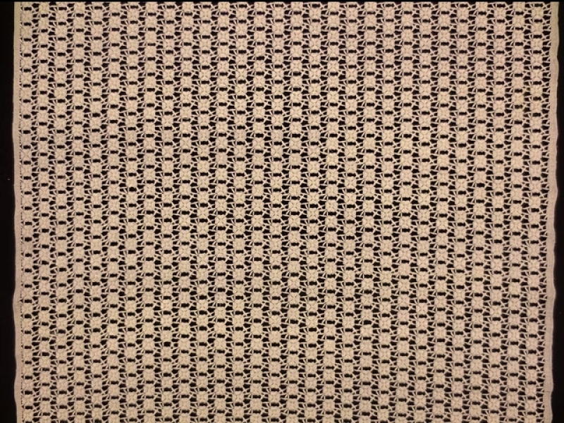 Metallic Guipure Lace3