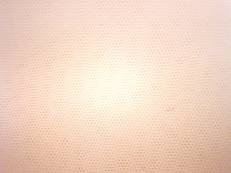 Italian Nylon Tulle in Salmone0