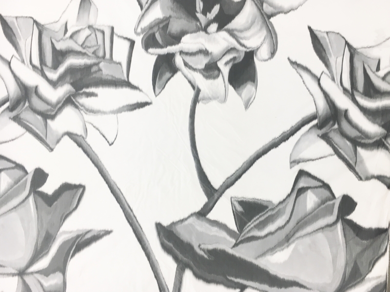 Tom Ford Warp Printed Silk Taffeta with Large Roses0