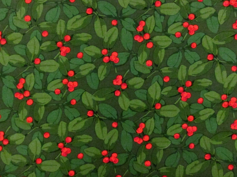 Cotton Broadcloth Print0