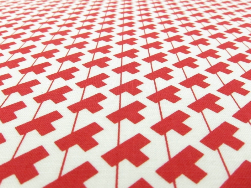 Cotton Broadcloth Print2