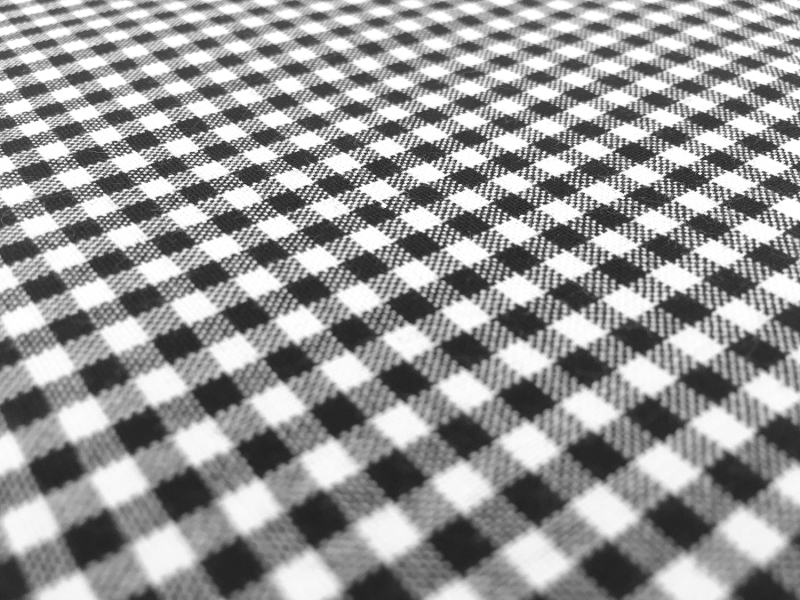 Carolina Cotton Gingham in Black2