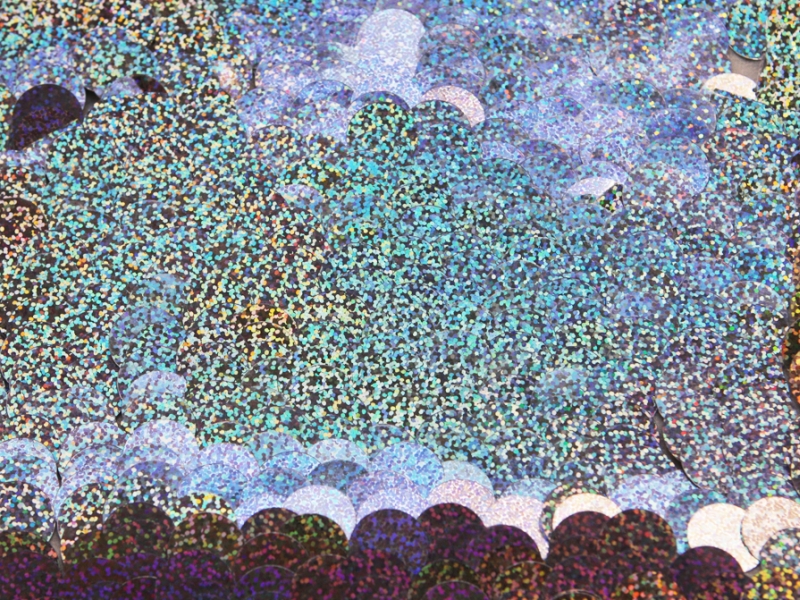 Paillettes on Silk Chiffon1