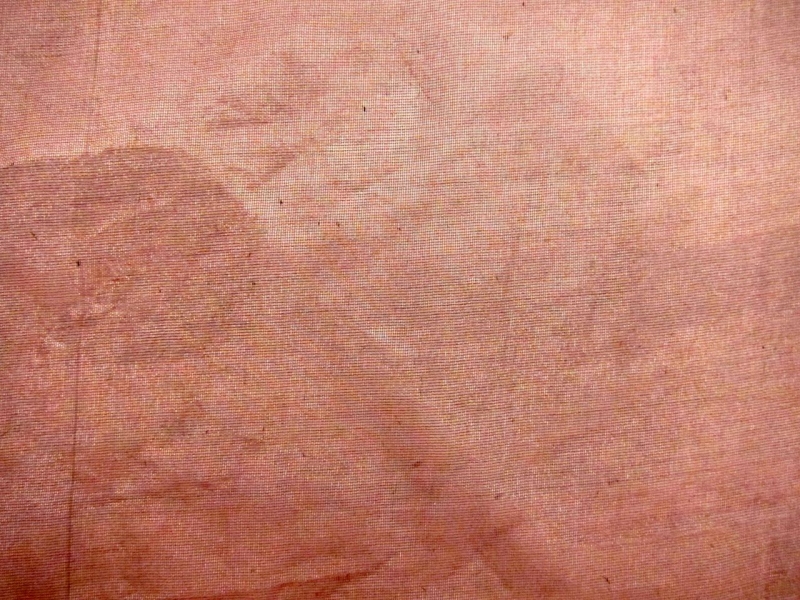 Metallic Silk Organza1