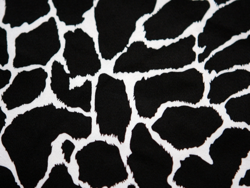 Cotton Spandex Sateen Print2