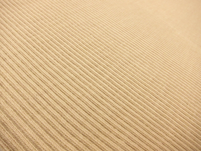 Virgin Wool Rib Knit in Nude2